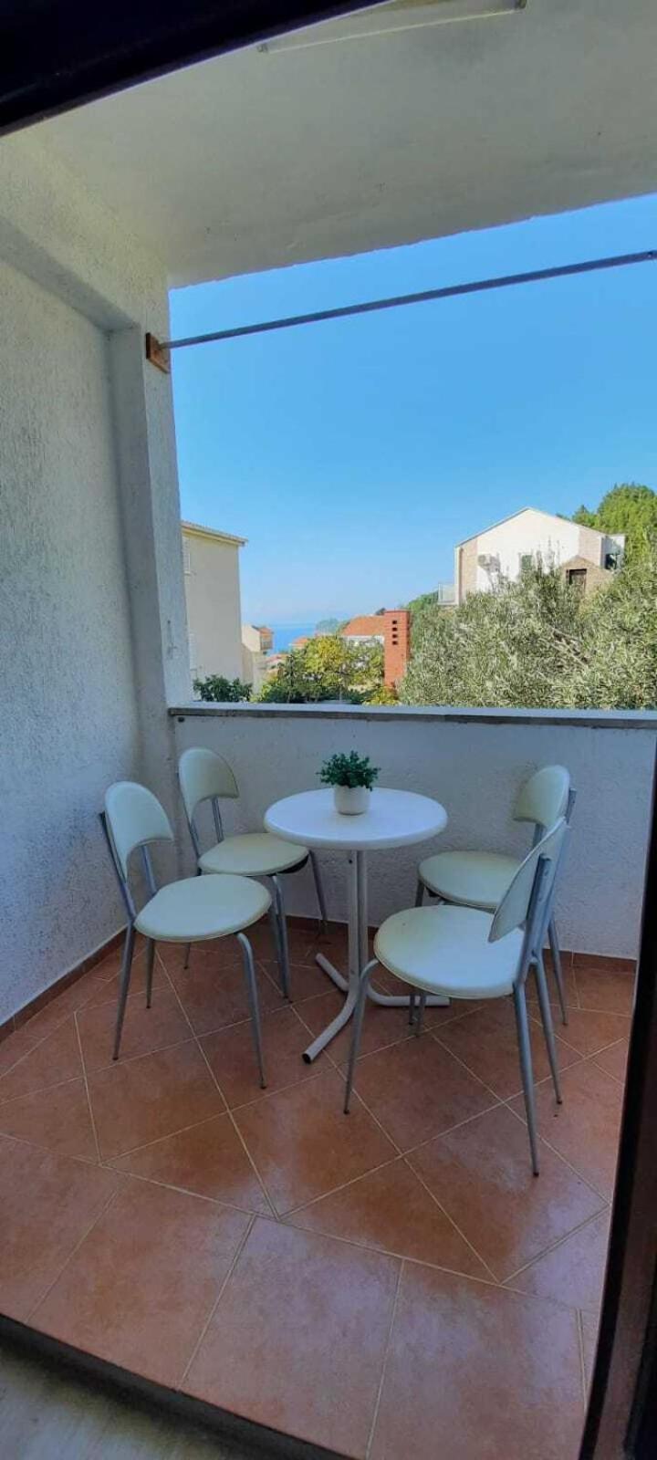 Apartments Elenora ブリスト エクステリア 写真
